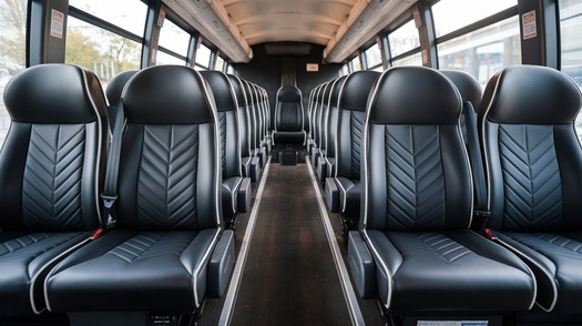 20 passenger minibus rental