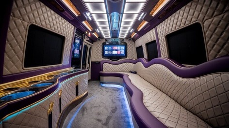 allen sprinter limo rental inside