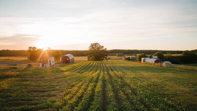 birmingham farms