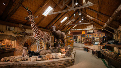 brookshires world of wildlife museum and country store