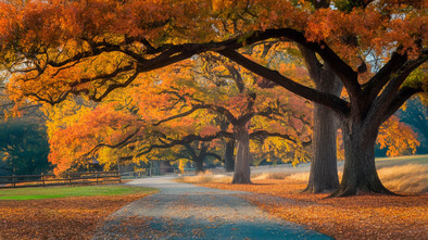 cedar hill state park