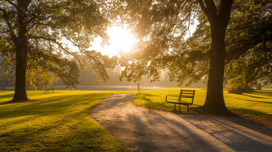 erwin park