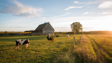 samuell farm